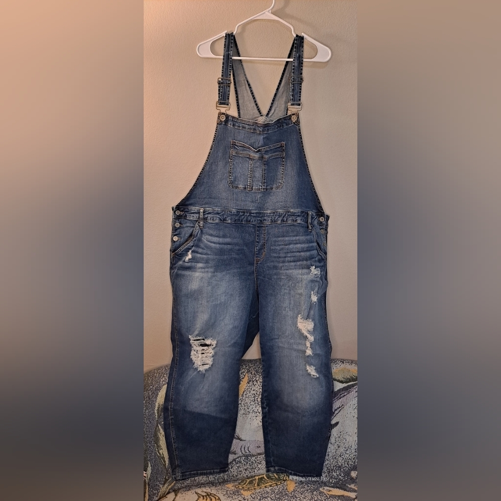 Size 28 Overalls